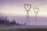 Transmission Towers Rising Above Fog_25964